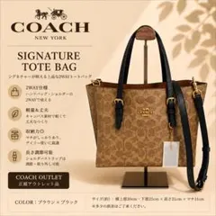 2026年最新】coach シグネチャー ショルダーバッグ 2wayの人気アイテム