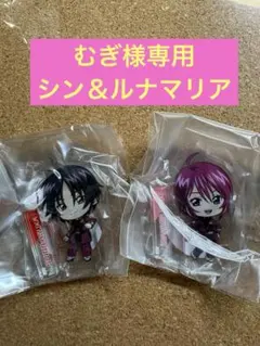 【むぎ様専用】シン＆ルナマリア、アクスタ