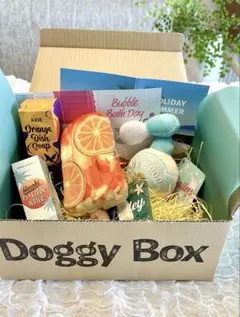 ドギーボックス　犬用おもちゃ&ケア用品5点セットのサムネイル