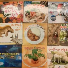 幼稚園　保育園　絵本セット　幼児向け