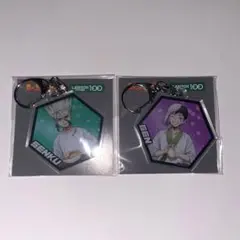 Dr.STONE アクリルキーホルダーセット