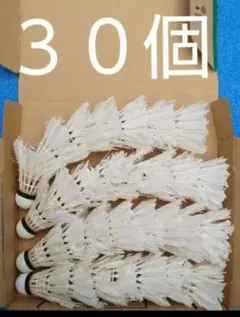 Item thumbnail for item bb873ba8-836e-4766-8d31-2876c0b460b4