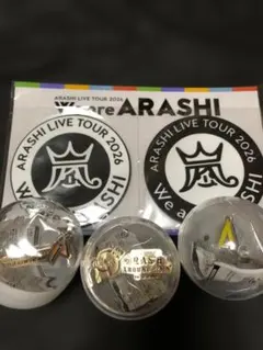 嵐 We are ARASHI 2026 チェンジングマグカップ 新品未開封 - メルカリ