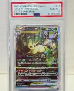 2026年最新】リーフィアvstar psa10 sarの人気アイテム - メルカリ