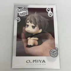 ハイキュー!! るかっぷ すなっぷカード Vol.1 宮治