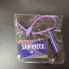 サンフレッチェ広島 アクリルキーホルダー マルチチャーム
