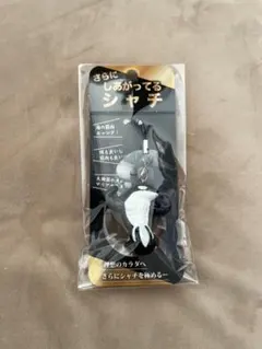 【新品】さらにしあがってるシャチ　新品未開封 須磨シーワルド　岩本照