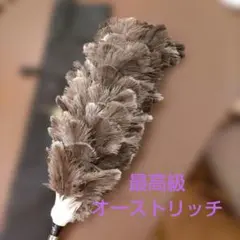 予約1ヶ月待ち】最高級 松本 毛バタキ オーストリッチ 毛ばたき車 けば