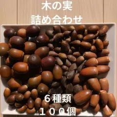 木ノ実 工作素材