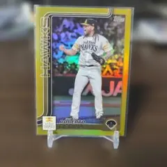 Item thumbnail for item df522318-2766-4c18-9059-d883f181aeec