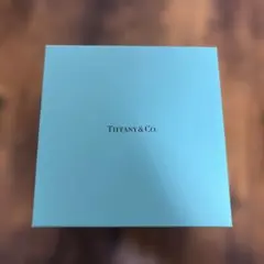 Tiffany &co 皿2枚セットのサムネイル