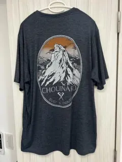 XL メンズ・キャプリーン・クール・デイリー・グラフィック・シャツ（ランズ）