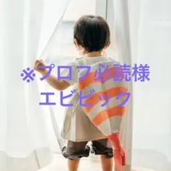 ※プロフ必読様　エビビック