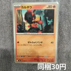 【在庫16】カルボウまとめ買いのサムネイル