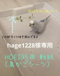 HOEI35 침구용 종이 (새장용)