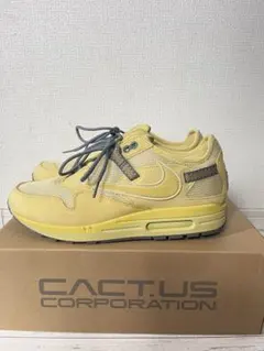 Travis Scott Nike Air Max 1 CACT.US 28.5