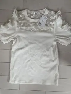 Item thumbnail for item 2d615752-ecba-42a1-975b-adb2235c76ce