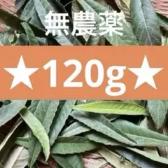 ☆びわの葉 約120g☆無農薬 無肥料 自然栽培 びわ茶 枇杷茶 びわエキス