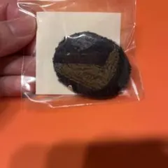 Item thumbnail for item 592d2c70-19dd-4df0-a6eb-023e5f6a6a66