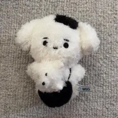 2025年最新】sunghoon ぬいぐるみの人気アイテム - メルカリ