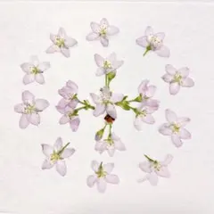 Item thumbnail for item dfcdd0aa-27a5-47c1-9d8b-1e9c48517122