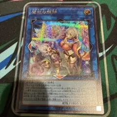 アダマシアルミナス シークレット - メルカリ