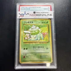2026年最新】フシギダネ 旧裏 psa10の人気アイテム - メルカリ