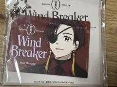 WINDBREAKER 蘇枋隼飛 缶バッジ 原画風 - メルカリ