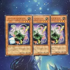 パペットプラント STON ノーマル