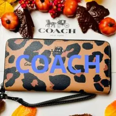 ✨️美品 コーチ ラウンドジップ シグネチャー プリント ロゴ 長財布