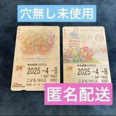 ディズニー　リゾートライン　フリーきっぷ　　リゾラ　2枚　セット　ダッフィー