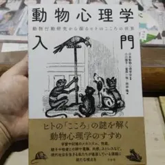 動物心理学入門