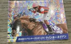ステッカー ウインカーネリアン スプリンターズステークス 中山競馬場 1枚