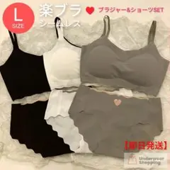 数量限定特価　 シームレス　ブラジャーショーツ　ブラックL　楽ブラ　パット付き