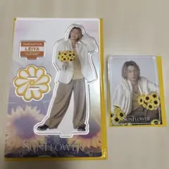 瀬口黎弥 アクスタ・フォトカ