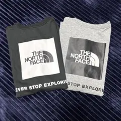 THE NORTH FACE Tシャツグレー、クロ バックプリント　2枚セットＬ