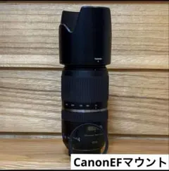 2026年最新】TAMRON SP 70-300 F4-5.6 Di VC USD A005の人気アイテム