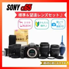 2026年最新】α65 レンズの人気アイテム - メルカリ