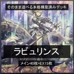 遊戯王 まとめ売り「白銀の城 ラビュリンス」構築済みデッキ40枚+EX15枚 遊戯王 まとめ売り「白銀の城 ラビュリンス」構築済みデッキ40枚+EX15