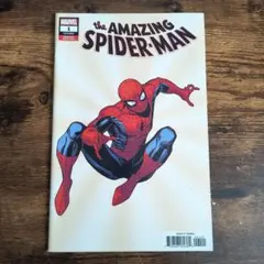 【アメコミリーフ】Amazing Spiderman サインド アメコミリーフ】Amazing Spiderman サインド