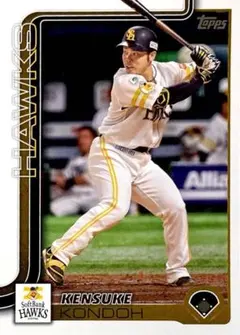 Item thumbnail for item 6088610d-ec8a-4f6b-9a23-ed143a45d048