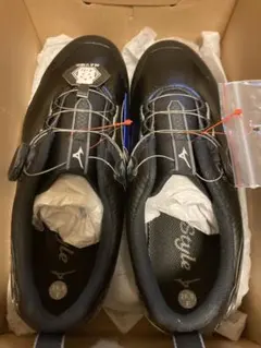 2026年最新】ミズノ ワイドスタイル SL ボアの人気アイテム - メルカリ