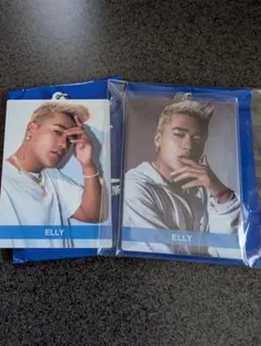 ELLY　三代目 J SOUL BROTHERS フォトキーホルダー　シクレ