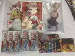 望月穂波11点セット