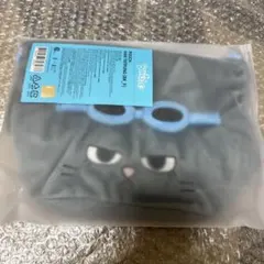 BOYNEXTDOOR BBNEXDO テサン ポーチ