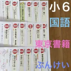 小学６年　国語　カラーテスト　解答済み　東京書籍