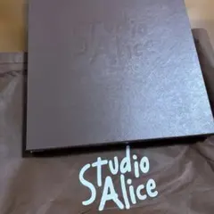 Studio Alice スタジオアリス アルバム ブラウン