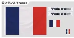 【フランス】 国旗 応援セット