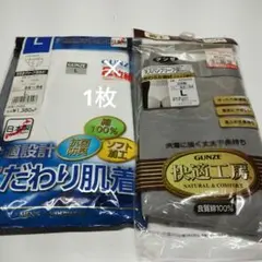 GUNZE 天引きブリーフ白1枚 天スパンブリーフグレー1枚