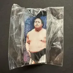 大相撲 スティックキーホルダー 若元春 ガチャ アクリルキーホルダー アクキー